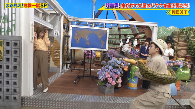 岩田絵里奈 世界まる見え！テレビ特捜部 3