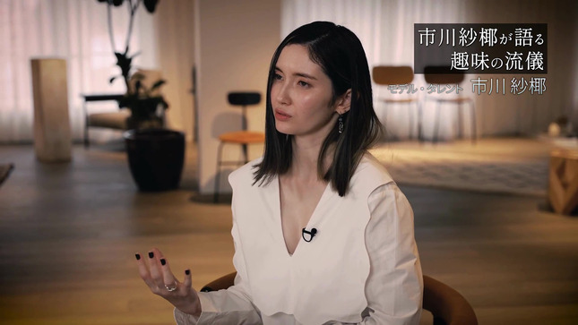 市川紗椰 趣味の流儀 2