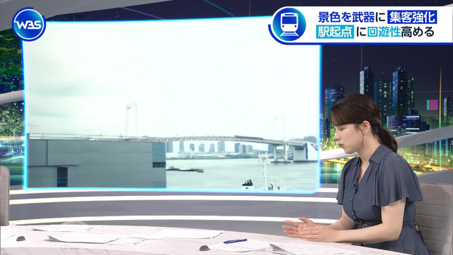 古旗笑佳 ワールドビジネスサテライト 15
