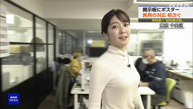 姫野美南 ニュースウオッチ9 3