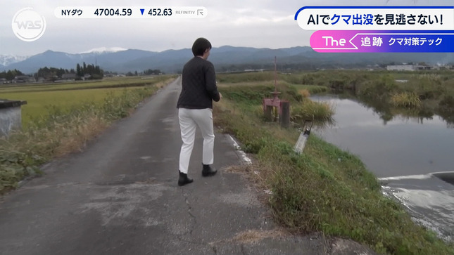 田中瞳 ワールドビジネスサテライト 5