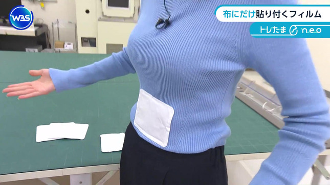 嶺百花 ワールドビジネスサテライト 25