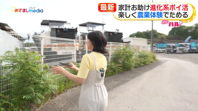 高崎春 めざましテレビ 8