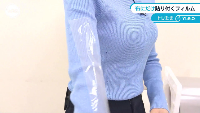嶺百花 ワールドビジネスサテライト 10