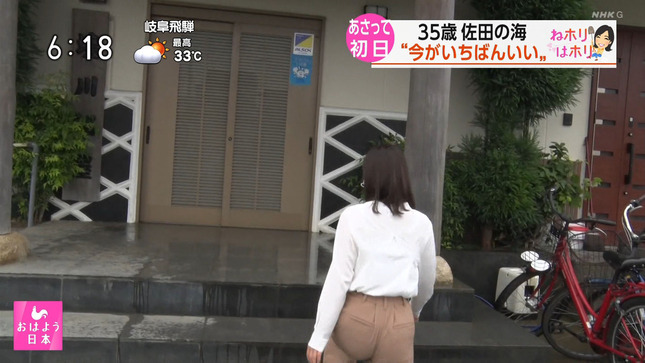 堀菜保子 おはよう日本 5