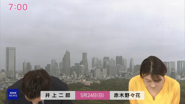 赤木野々花 おはよう日本 NHKニュース 2