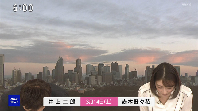 赤木野々花 おはよう日本 4