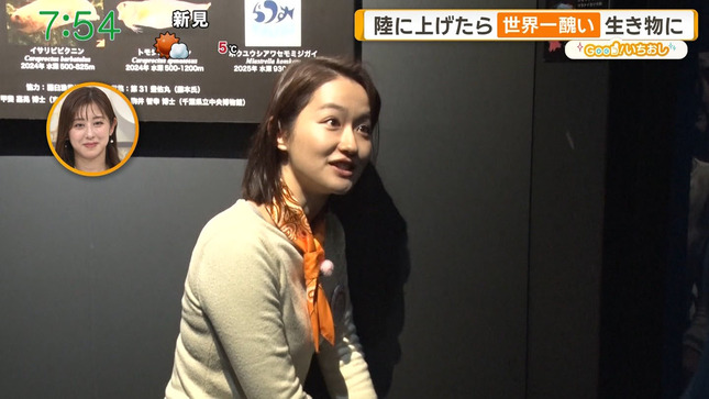 佐藤ちひろアナ　ニットに食い込むブラ線！！【GIF動画あり】