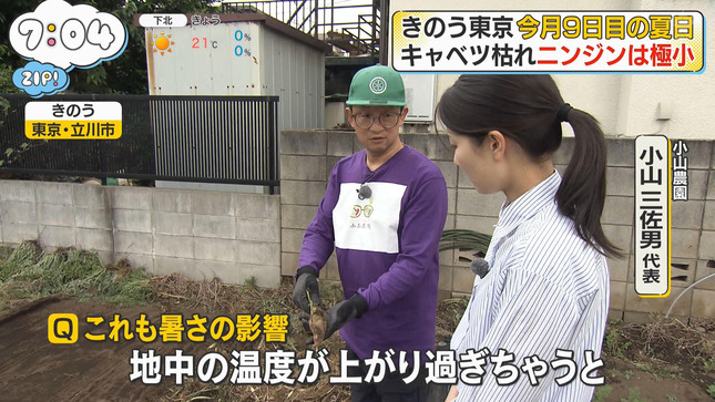 渡邉結衣 ZIP! 13