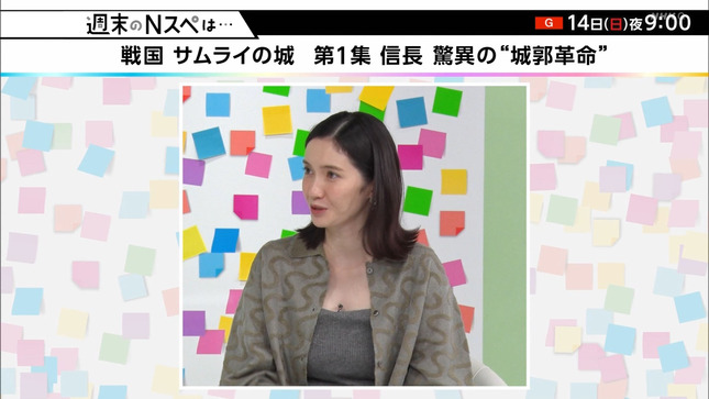 市川紗椰 ナゼそこ？＋ 週末のＮスペは… 13