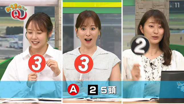 皆藤愛子 BSイレブン競馬中継 7