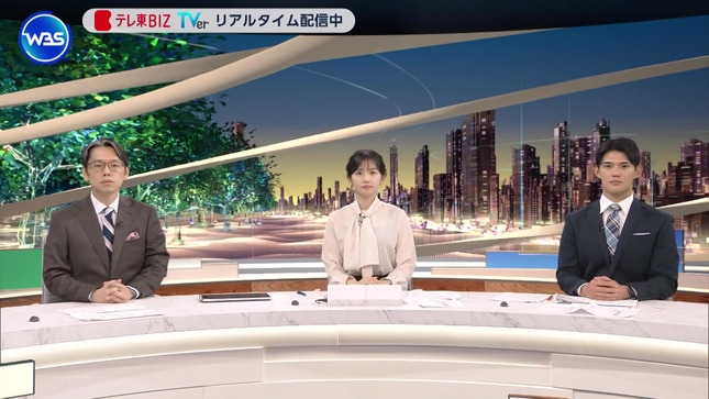 田中瞳 ワールドビジネスサテライト 1