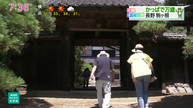 稲井清香 おはよう日本 6