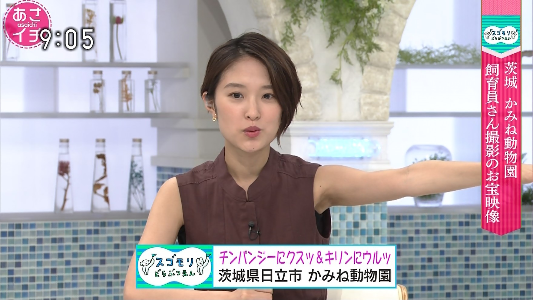 近江友里恵アナ 脇全開 Gif動画あり アナきゃぷ速報