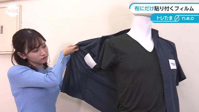 嶺百花 ワールドビジネスサテライト 31