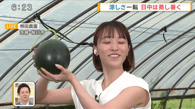 今井春花 グッド！モーニング 7