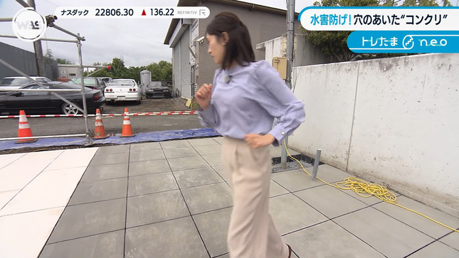 嶺百花 ワールドビジネスサテライト 13