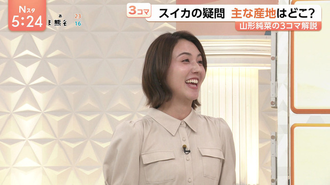 山形純菜 Nスタ 11