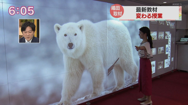 嶋田ココ ニュースほっと関西 5