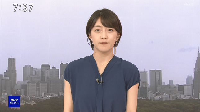 赤木野々花 おはよう日本 NHKニュース 4