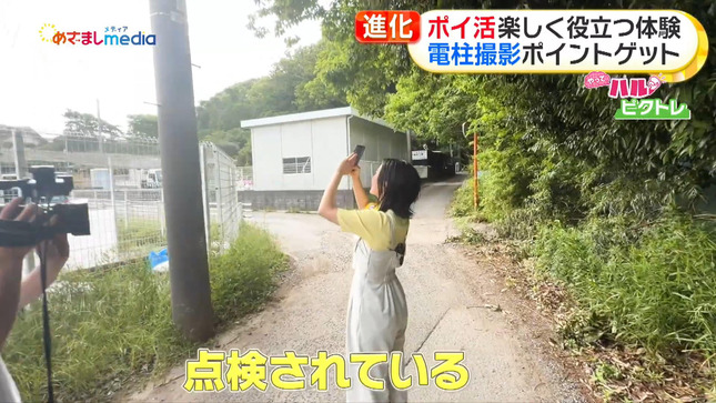 高崎春 めざましテレビ 17