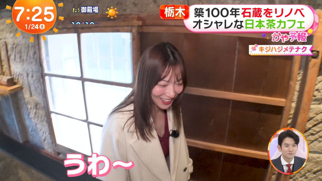 阿部華也子 めざましどようび 6