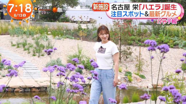 阿部華也子 めざましどようび 4