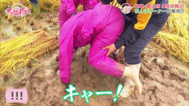 森田茉里恵アナ　田んぼにハマって後ろから抱えられるハプニング！！【GIF動画あり】