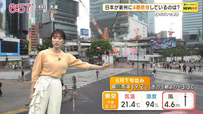 今井春花 グッド！モーニング 15