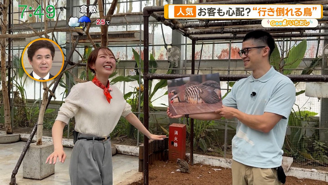 佐々木若葉 グッド！モーニング 9