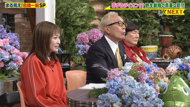 岩田絵里奈 世界まる見え！テレビ特捜部 10