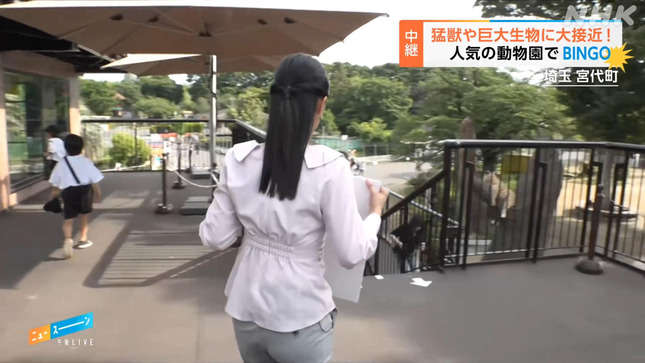 道上美璃 午後LIVEニュースーン 3