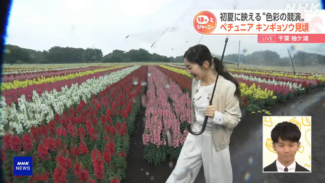 岩﨑果歩 おはよう日本 6