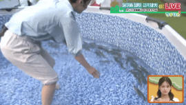 塚田舞 マチコミ 22