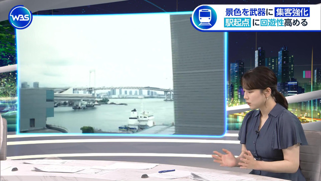 古旗笑佳 ワールドビジネスサテライト 14