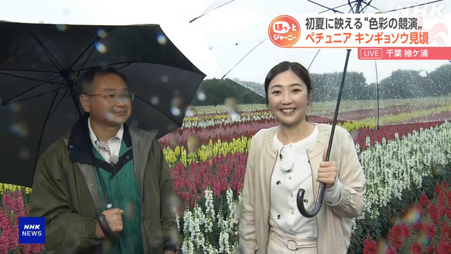 岩﨑果歩 おはよう日本 18