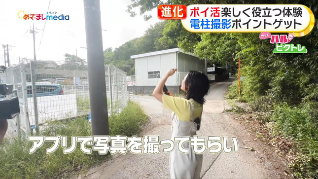高崎春 めざましテレビ 18