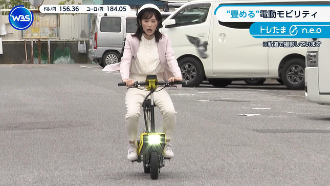 嶺百花 ワールドビジネスサテライト 20