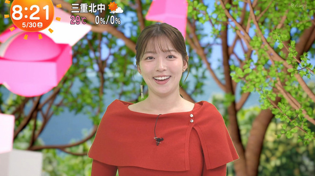 阿部華也子 めざましどようび 20