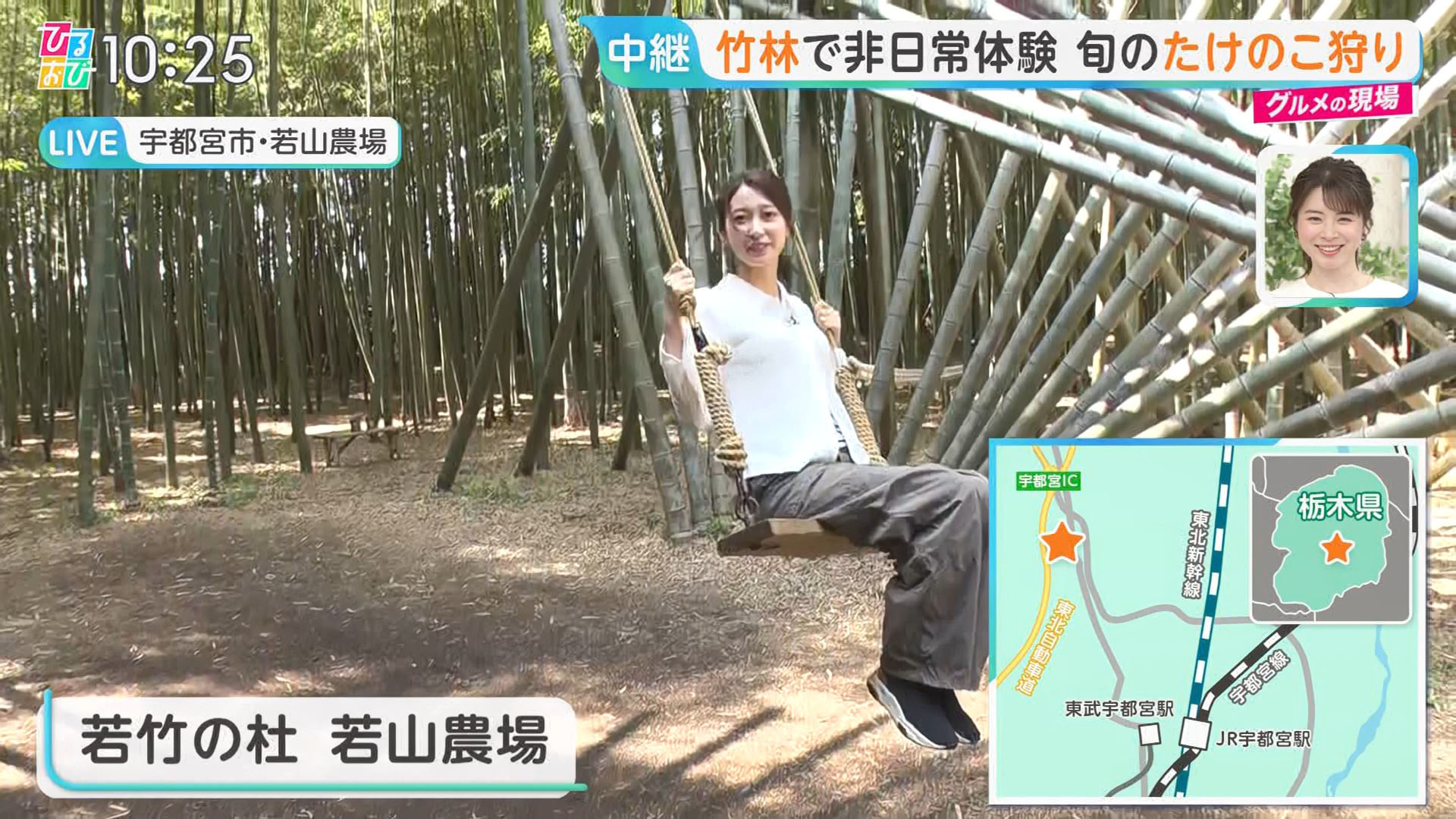 佐々木ひとみ　胸チラ画像 佐々木舞音アナ 「たけのこ掘り」中継で胸チラしてしまうハプニング！！ : アナきゃぷ速報