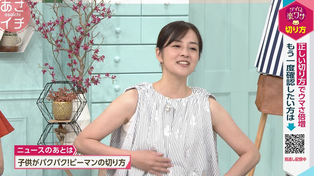 鈴木奈穂子アナ　セクシーノースリーブ脇！！