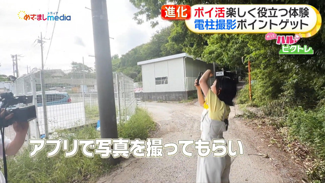 高崎春 めざましテレビ 19