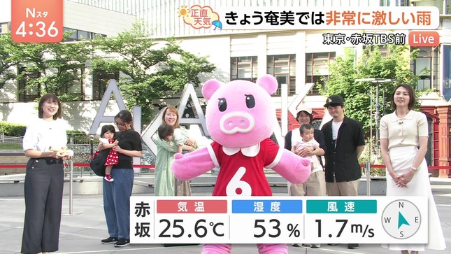 山形純菜 Nスタ 1