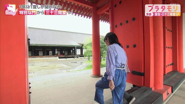 佐藤茉那 ブラタモリ 3