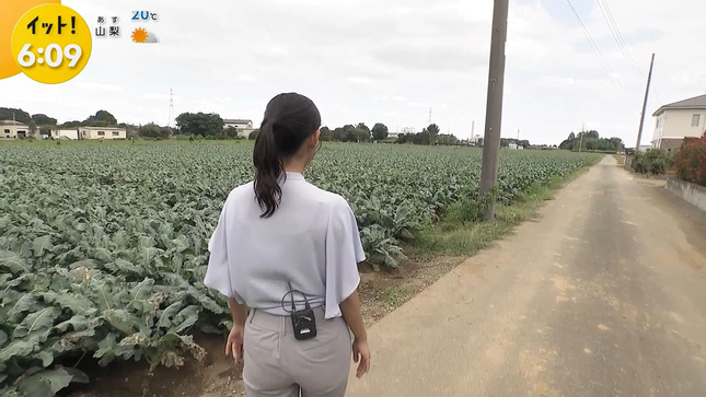 石渡花菜 LiveNewsイット！ 1