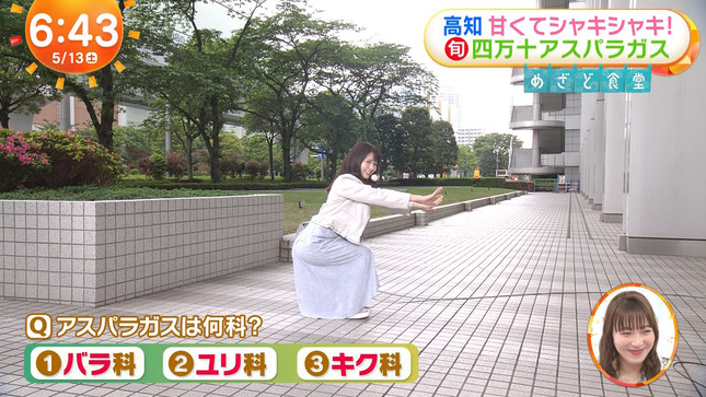 谷尻萌 めざましどようび 9