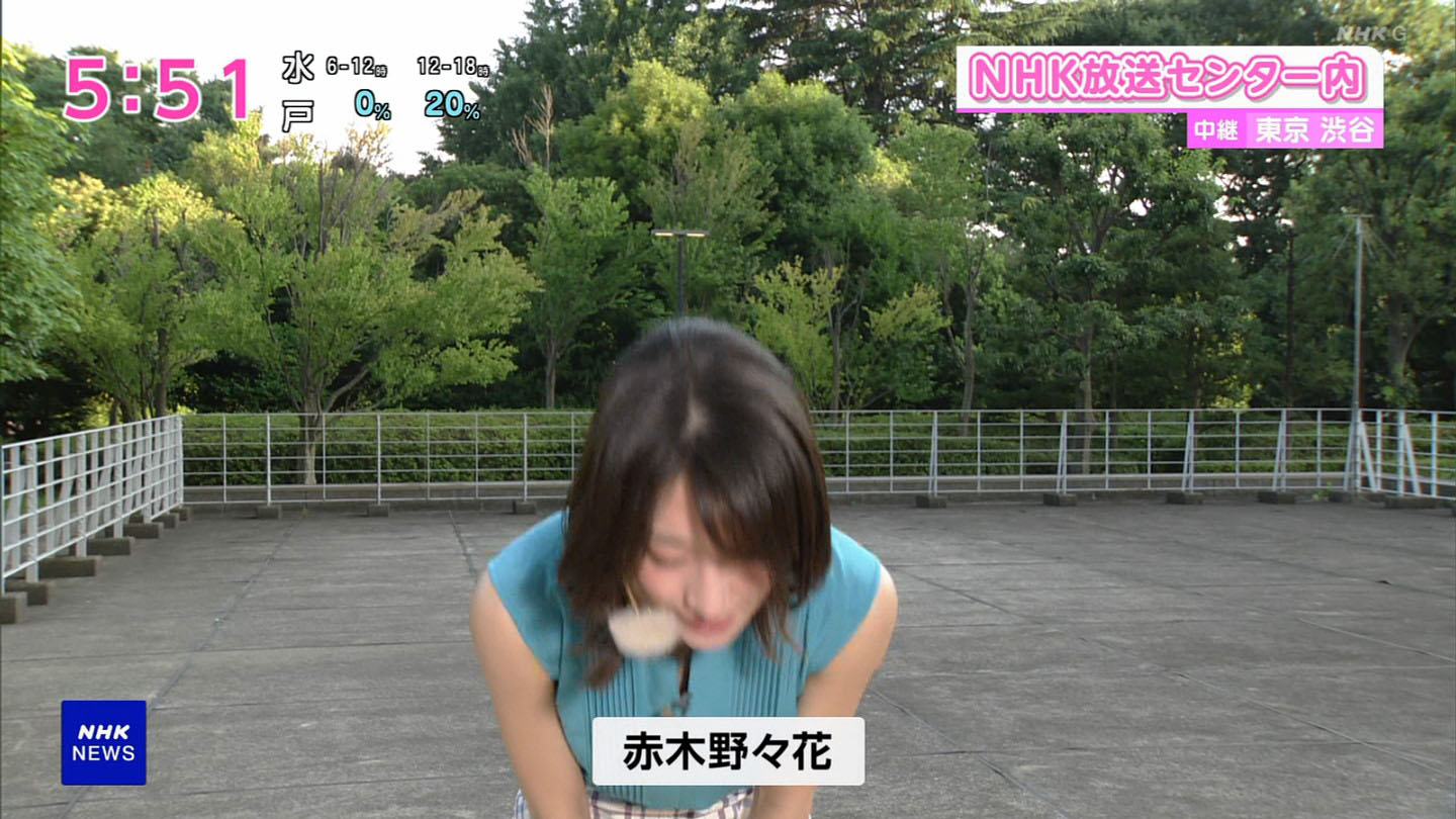 赤木野々花　エロ 赤木野々花アナ ノースリーブでお辞儀をして胸チラ！！【GIF動画あり】 : アナきゃぷ速報