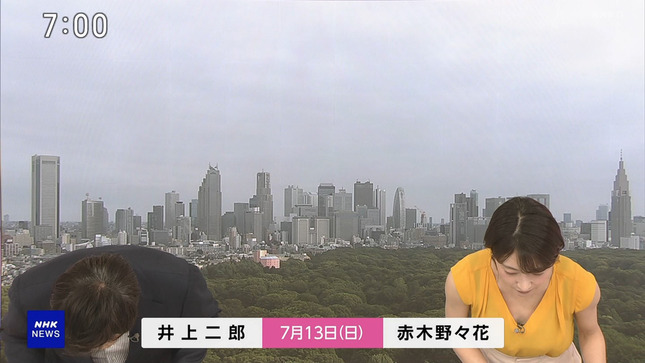 赤木野々花 おはよう日本 NHKニュース 3