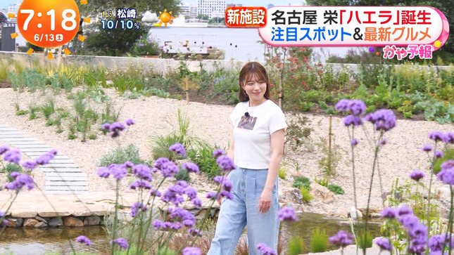 阿部華也子 めざましどようび 3