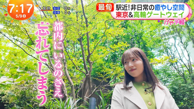 阿部華也子 めざましどようび 2